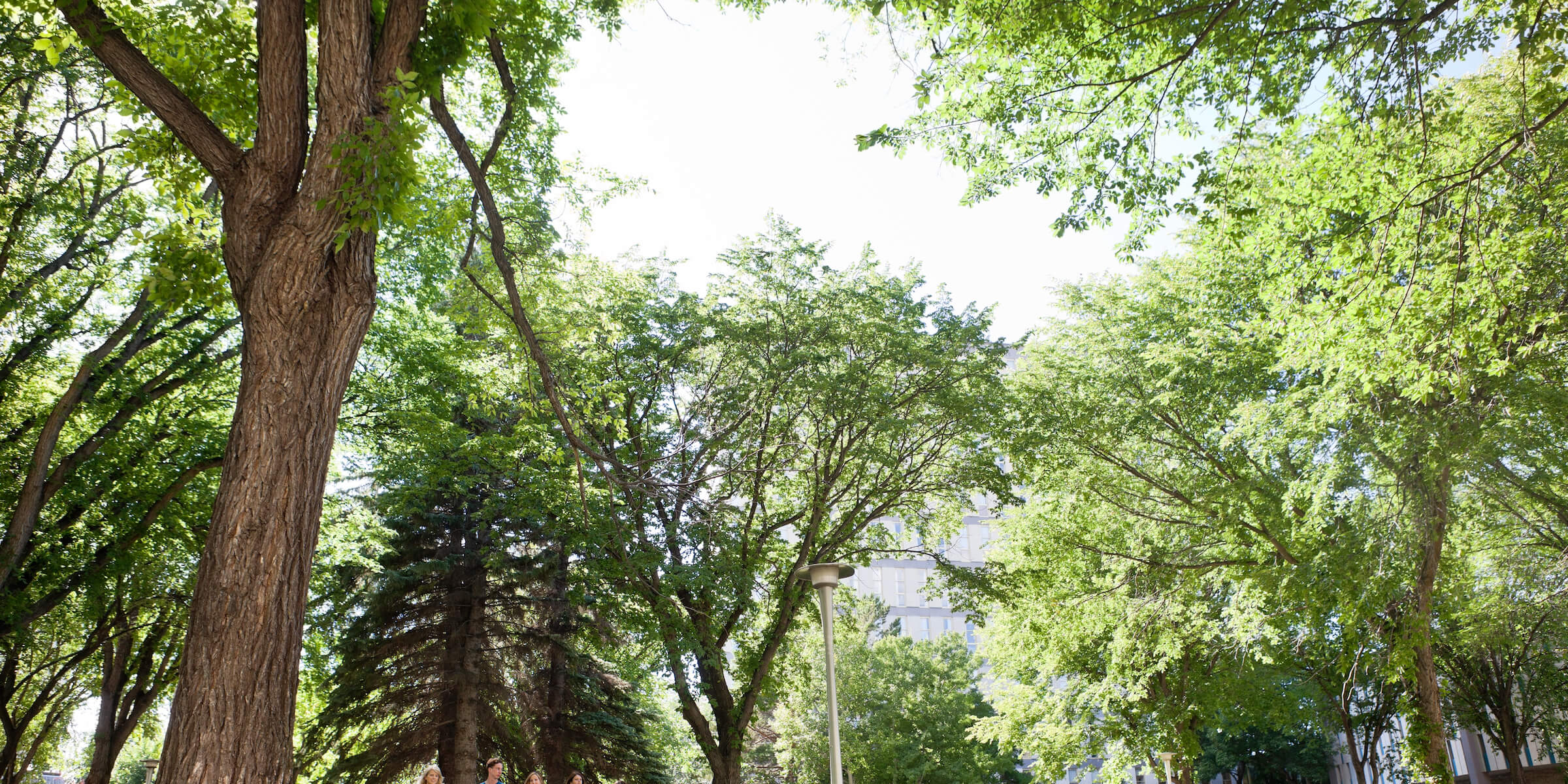 Adopting a Collaborative Continuing Education Model